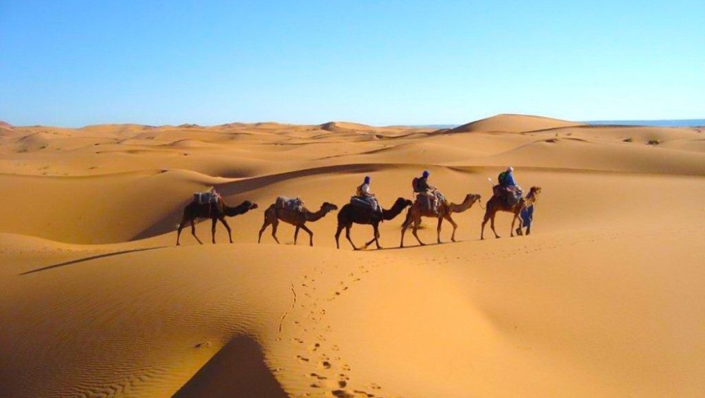 La diversité des paysages du Maroc : Une invitation au voyage avec Desert Passions