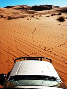 Excursions en dromadaires et en 4×4