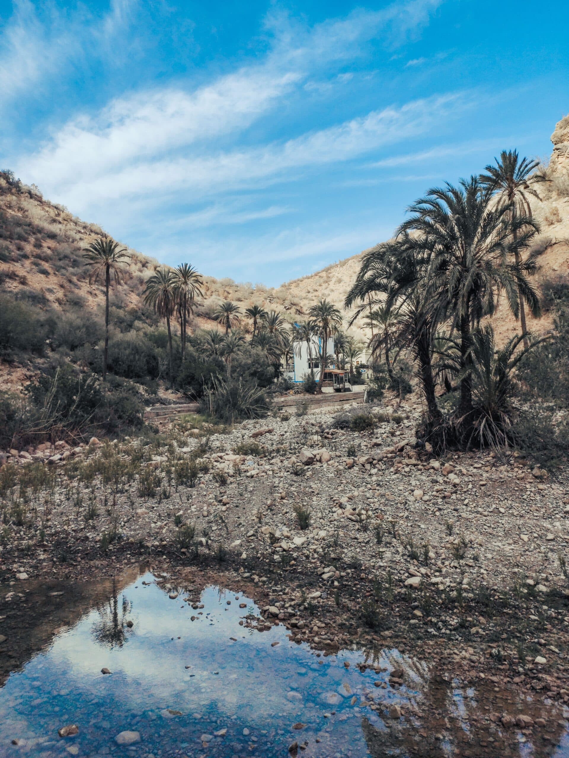 Oasis de palmiers dattiers dans un désert rocailleux au Maroc, avec une petite maison blanche et un lit de rivière asséché en premier plan