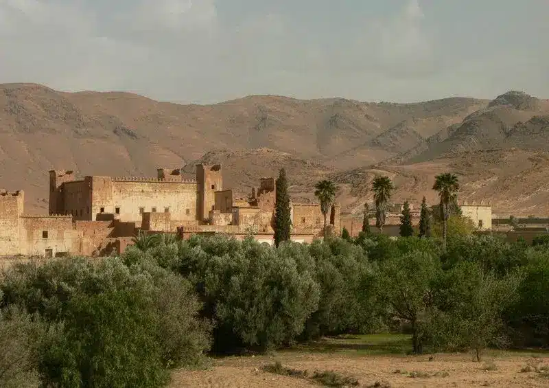 Oasis et désert, 7 jours