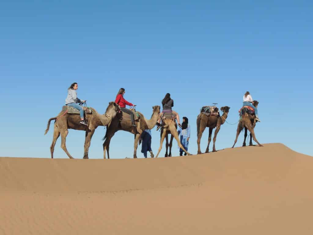 Caravane de dromadaires sur une crête de dune à l'Erg Chigaga