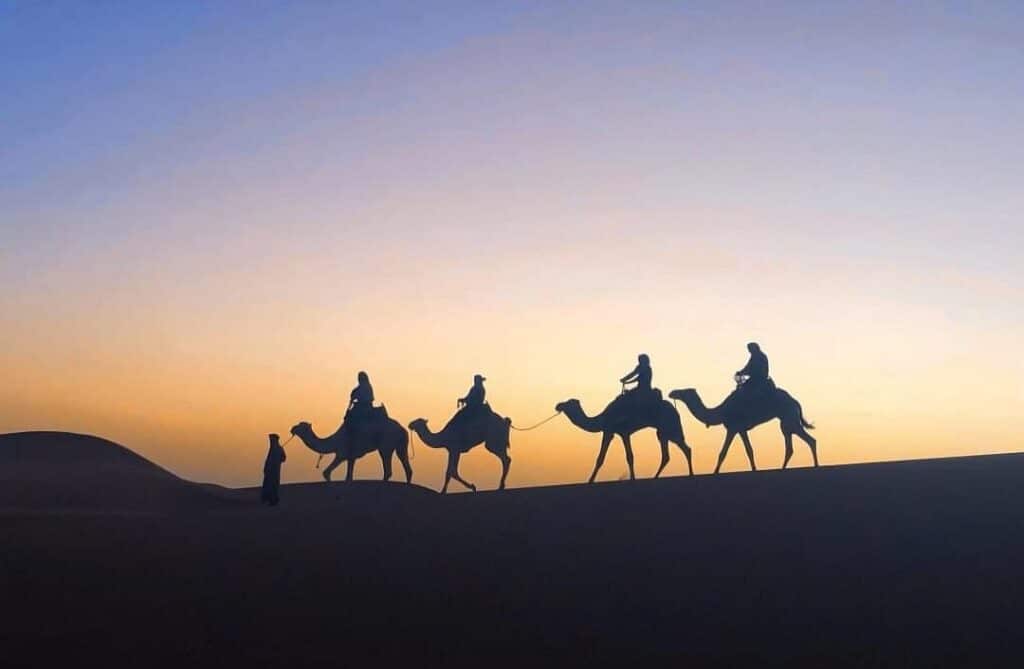 Caravane de dromadaires en silhouette sur une dune au coucher du soleil