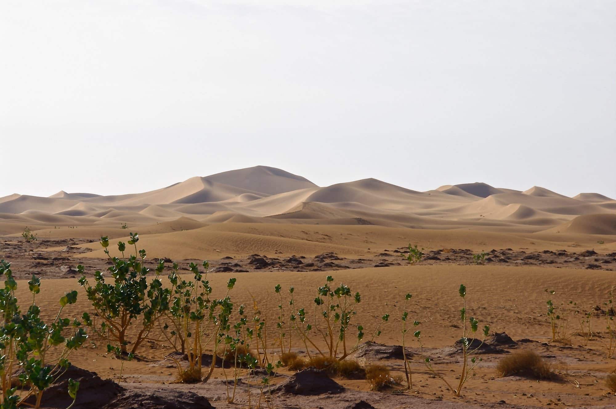 Trek et 4×4, 3 jours