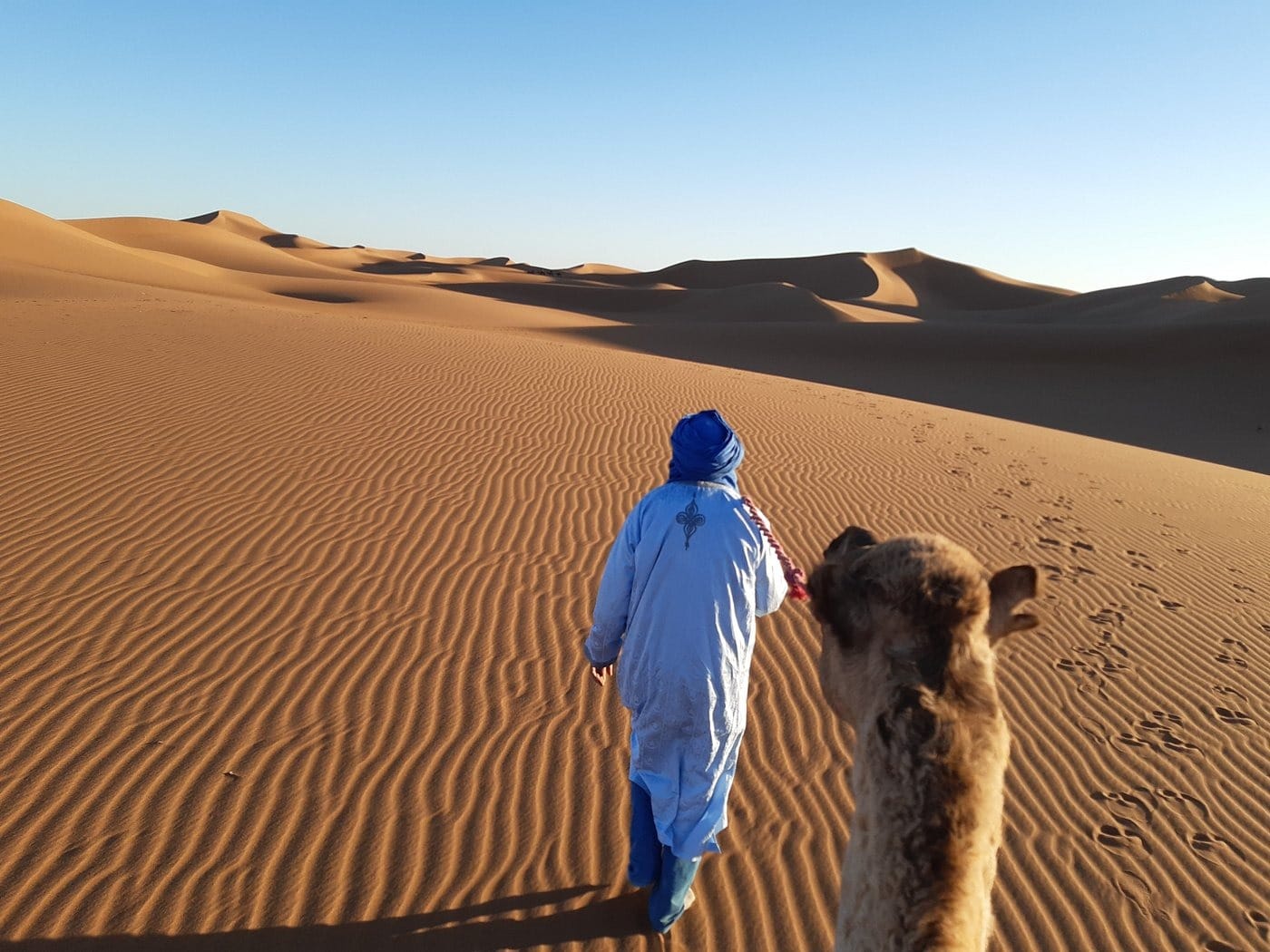Guide berbère en tenue bleue marchant avec son chameau sur une dune
