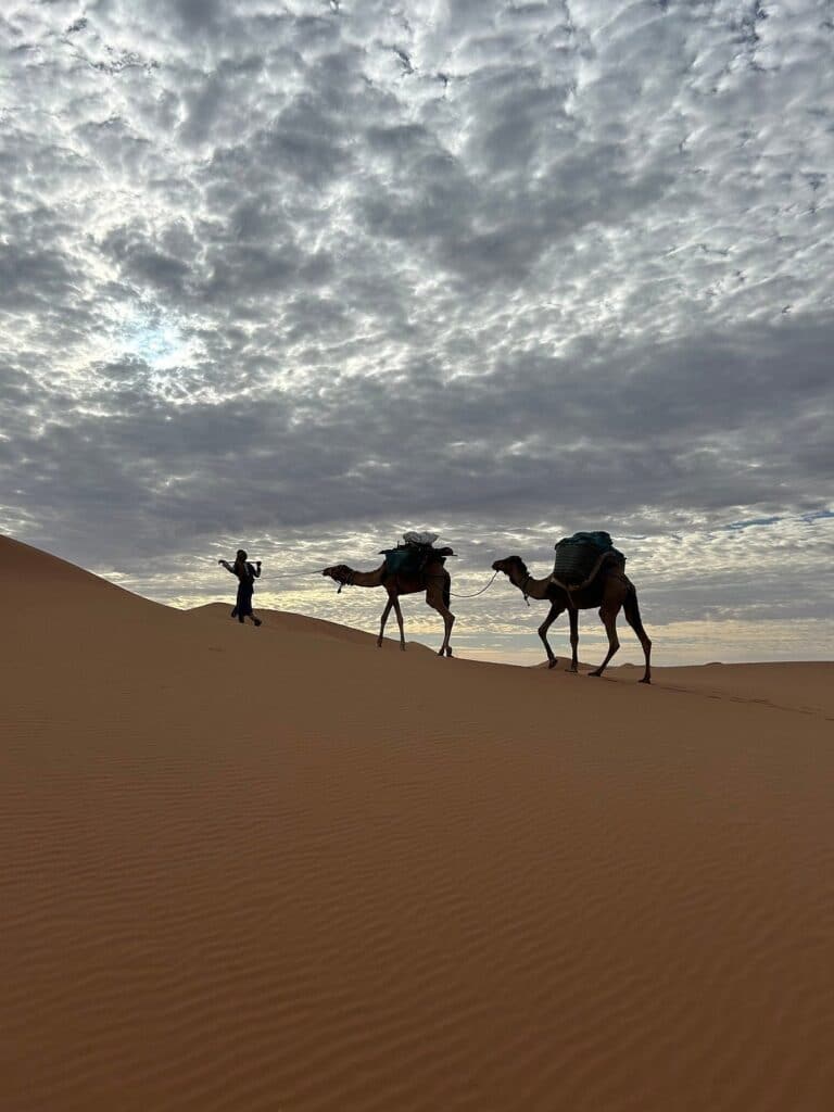 Guide menant une caravane de dromadaires sous un ciel nuageux