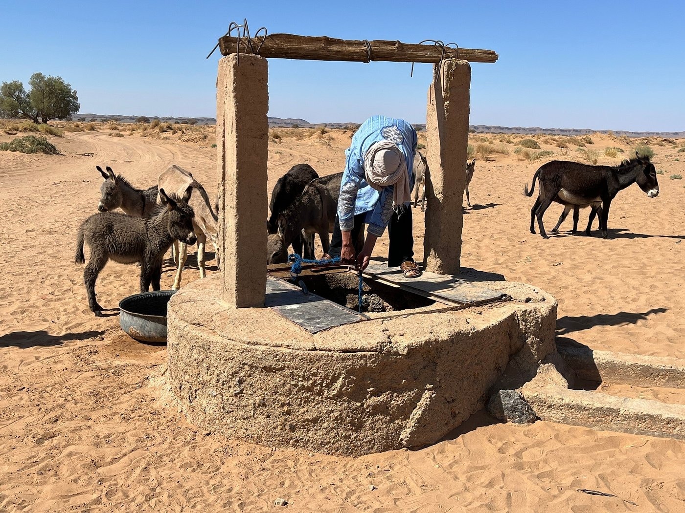 Puits traditionnel en pierre entouré d'ânes dans le désert marocain