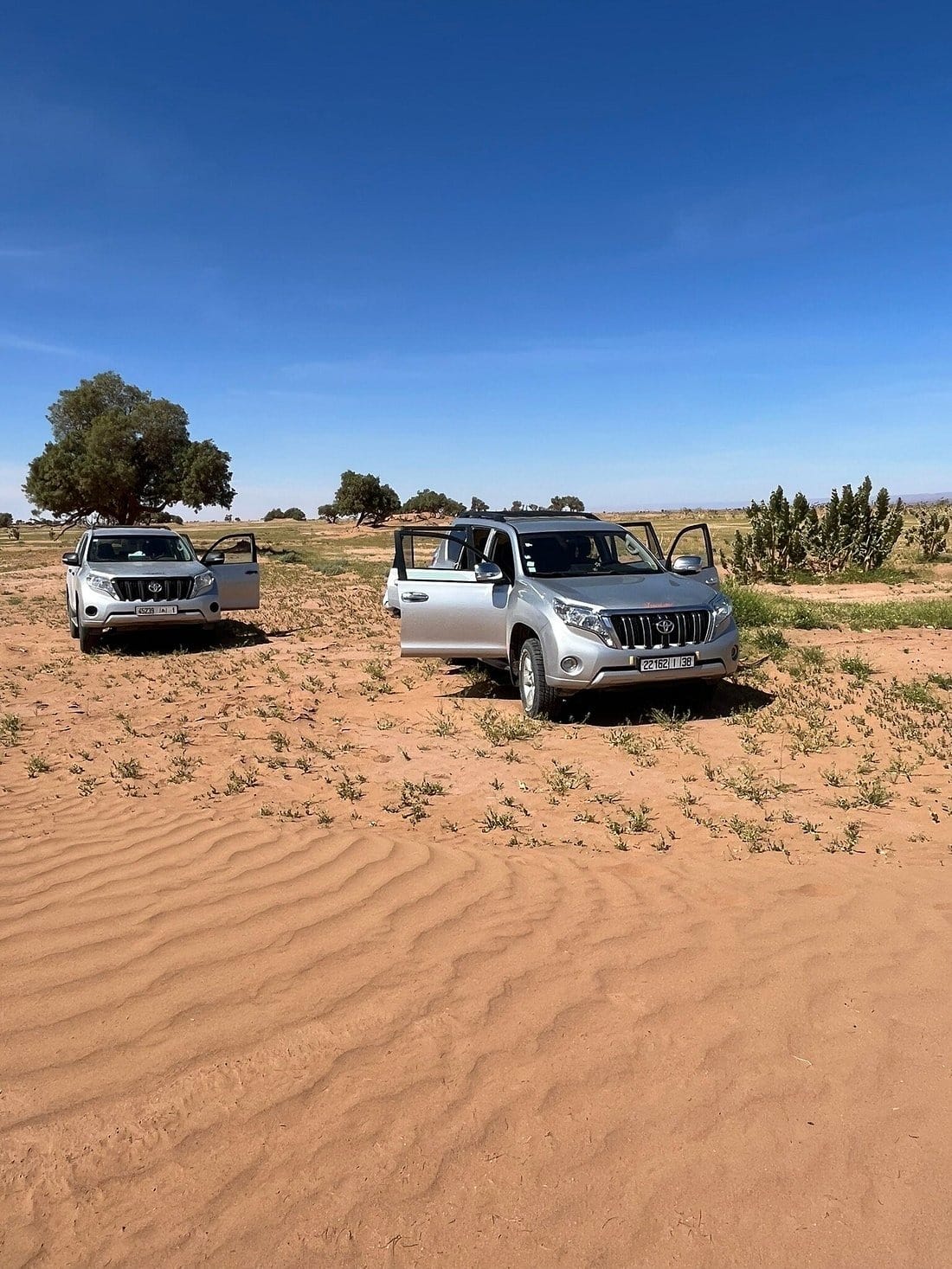 Deux véhicules 4x4 Toyota stationnés sous des arbres