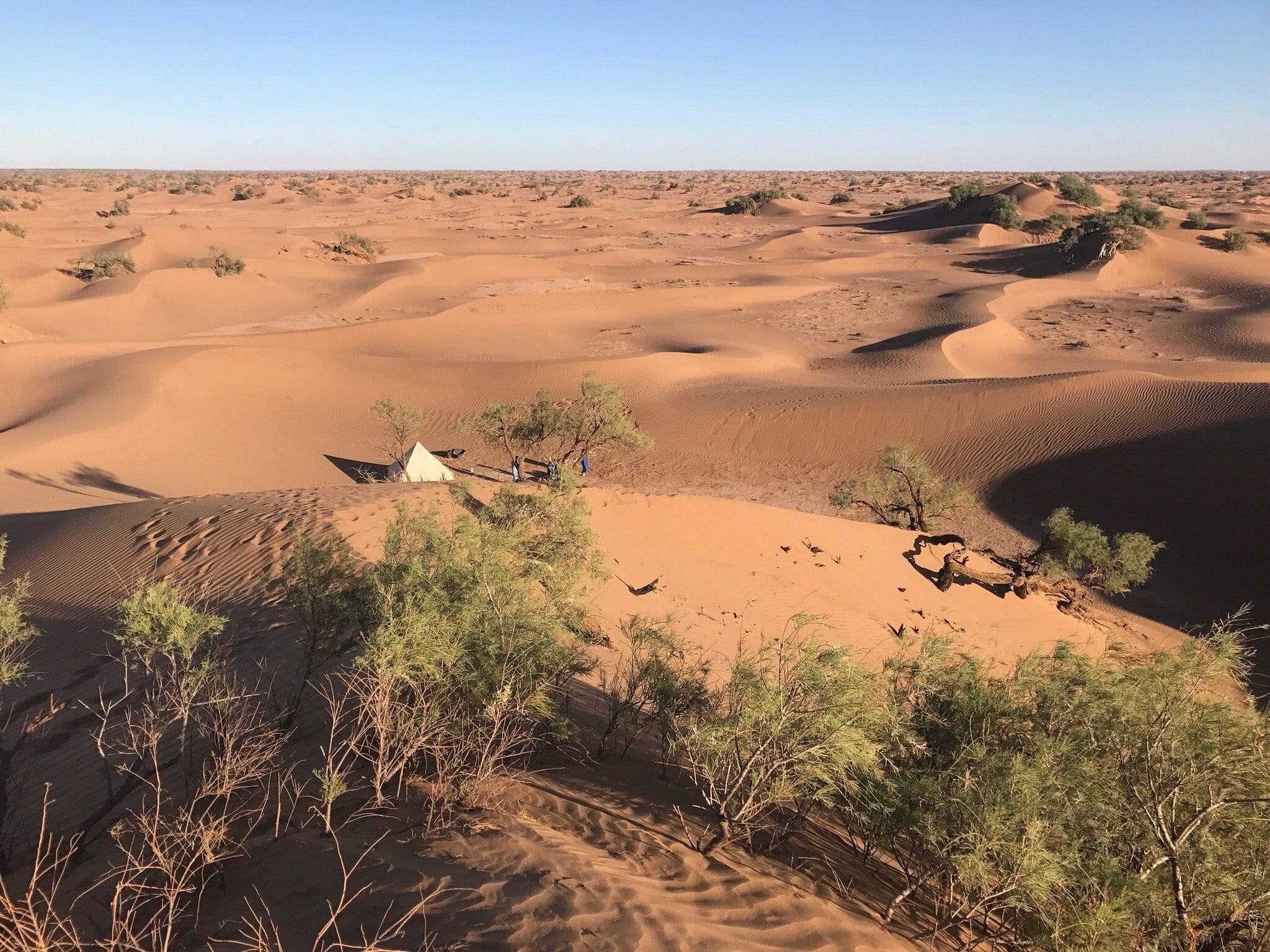 Trek oasis de tamaris & Oued Naam, 3 jours