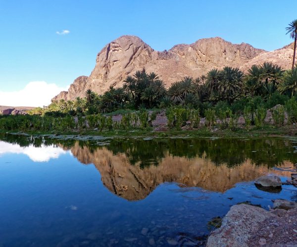 Oasis dans le désert au Maroc, séjour dans le désert marocain. Possibilité de faire des treks dans le désert et bivouacs.
